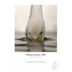Hahnemühle Photo Luster 260 (Bogen)